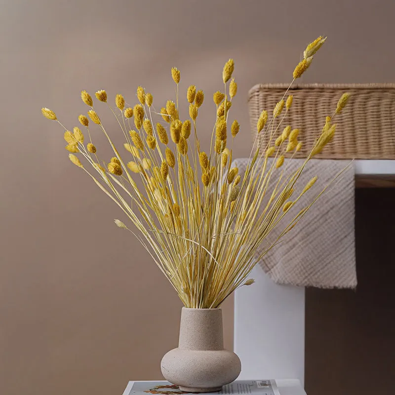 Dried Phalaris Flower Bunch (Yellow) - Set Of Thirty media 5