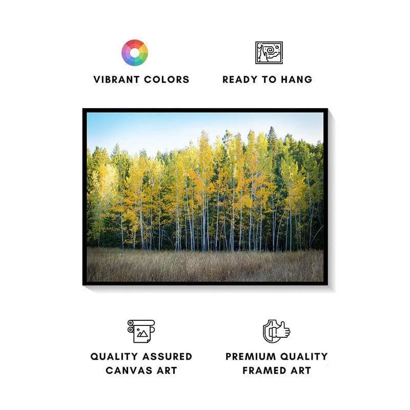 Birch Trees Canvas Wall Painting - Black Frame media 4