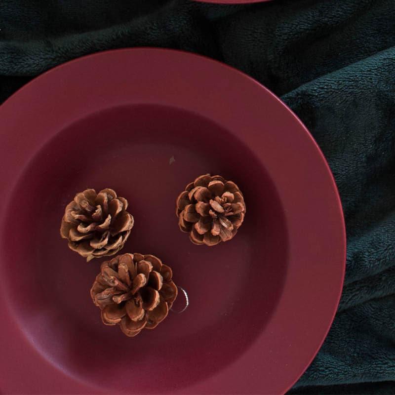 Rubeena Maroon Pasta Plate - Set Of Two media 3