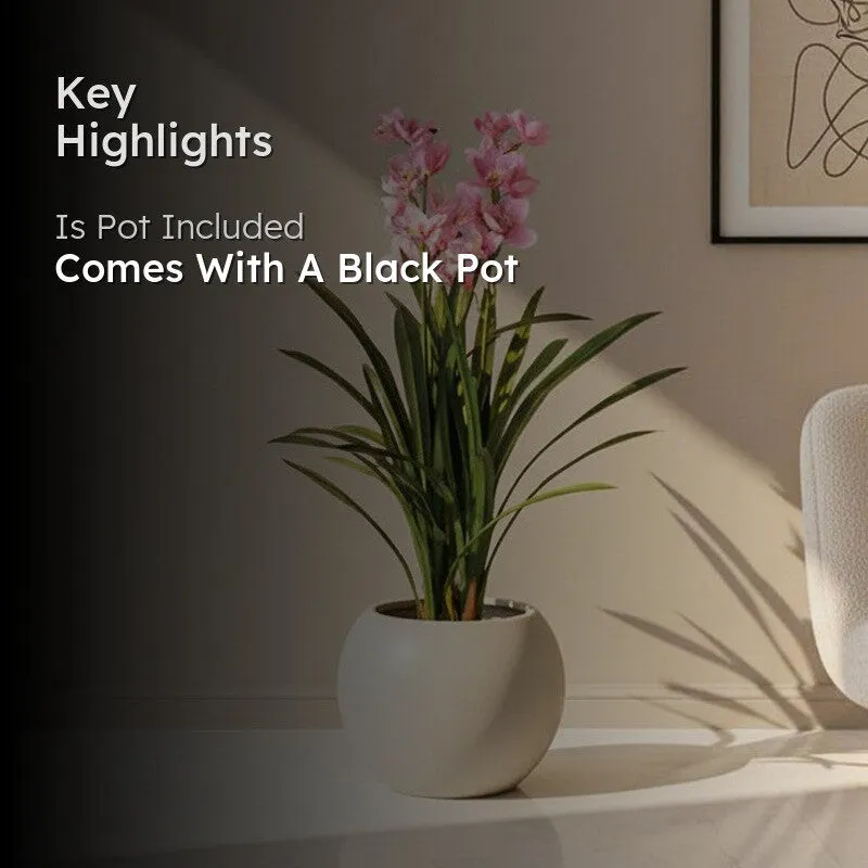 Faux Realtouch Pink Orchid Artificial Plant With Black Plastic Pot - 3.9 Feet media 2