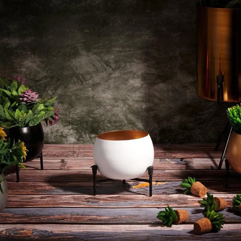 Eukene Metal Planter - White media 4