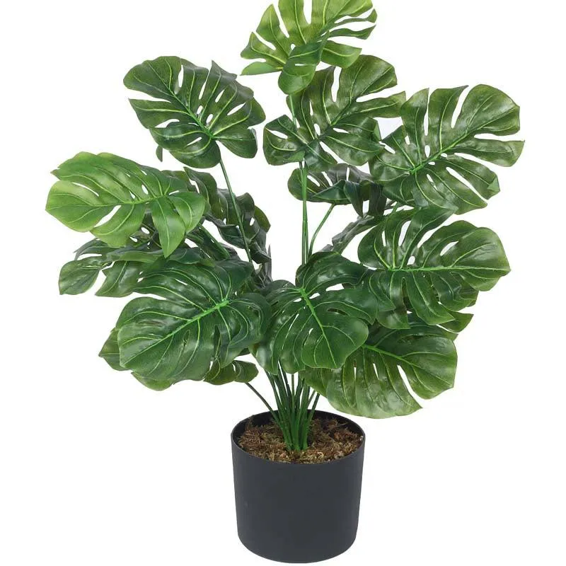 Faux Lush Monstera  Plant With Black Plastic Pot - 2.3 Feet media 4