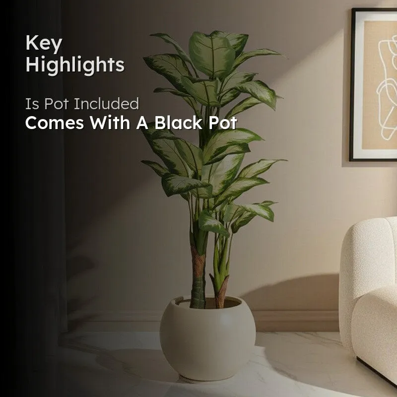Faux Lush Variegated Dieffenbachia Plant With Black Plastic Pot - 5.2 Feet media 2