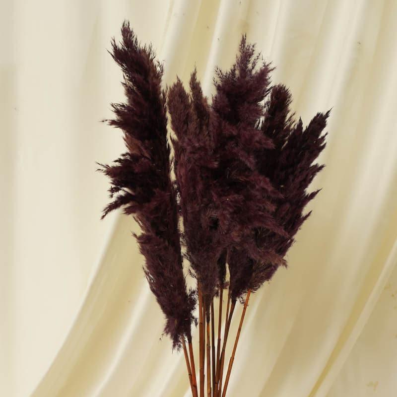 Puffy Pampas Stems (2.62 ft) - Dark Burgundy media 3