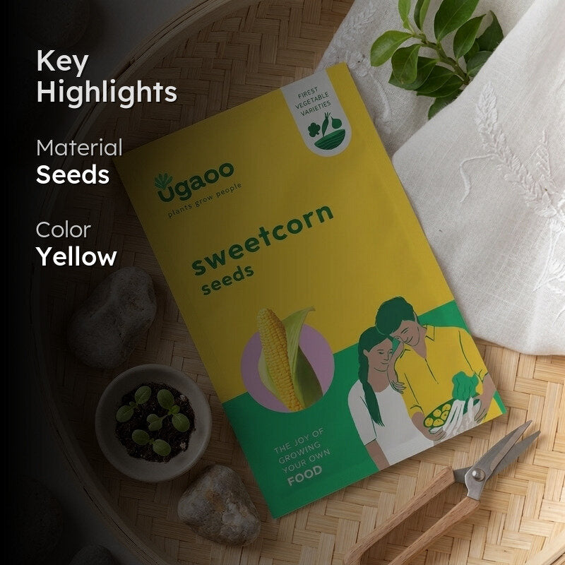 Ugaoo Sweetcorn Seeds media 2
