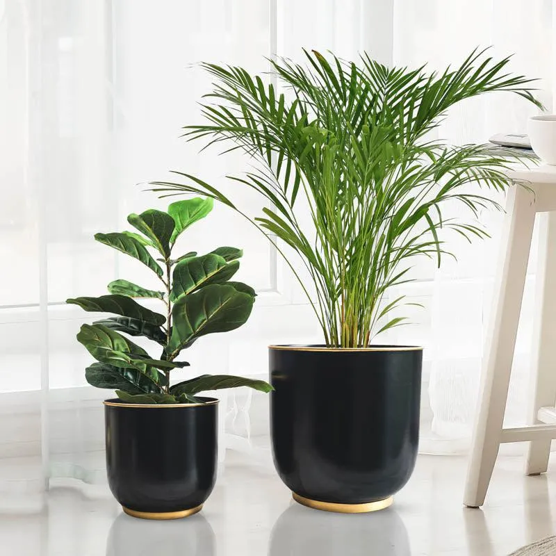 Raven Floor Planter - Set of Two media 3