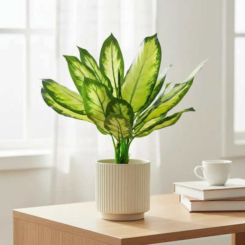 Faux Dracaena Artificial Plant With Black Fiber Pot - 1.7 Feet media 3