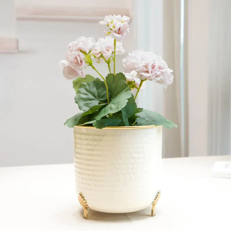 Aurea Metal Hammered Gold Rim Leaf Leg Planter - White media 9
