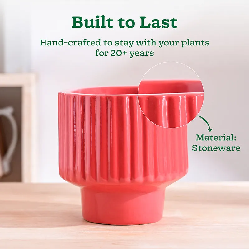 Ugaoo Classic Stria Ceramic Planter - Red media 3