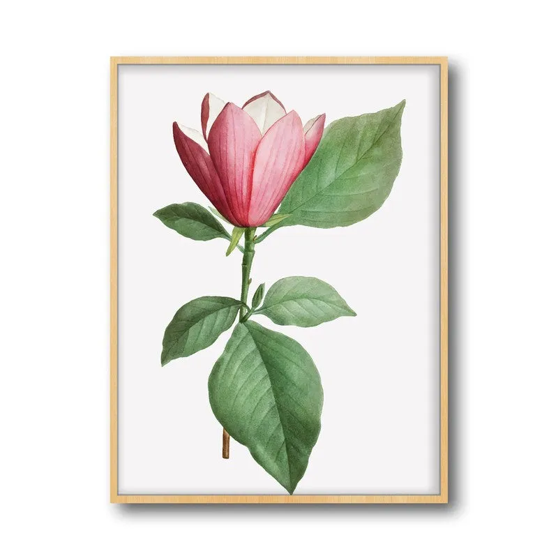 Padma Palette Archival Paper Wall Art - Natural Brown Frame media 5