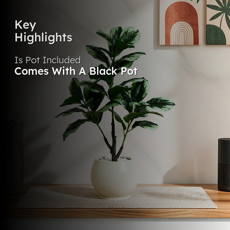 Faux Everlasting Fiddle Fig Plant With Black Plastic Pot - 95 cm (3.1 ft) media 2