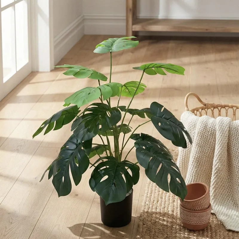 Botaniq Artificial Green Monstera Plant With Black Plastic Pot - 2.5 ft media 3