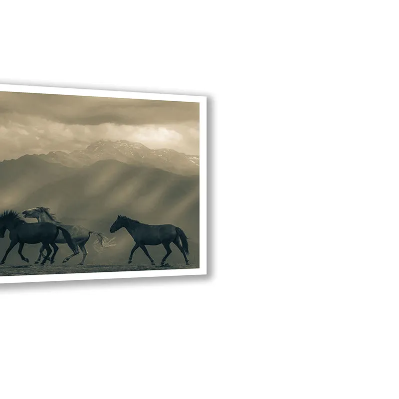 Equine Silhouette Wall Art with White Frame media 5