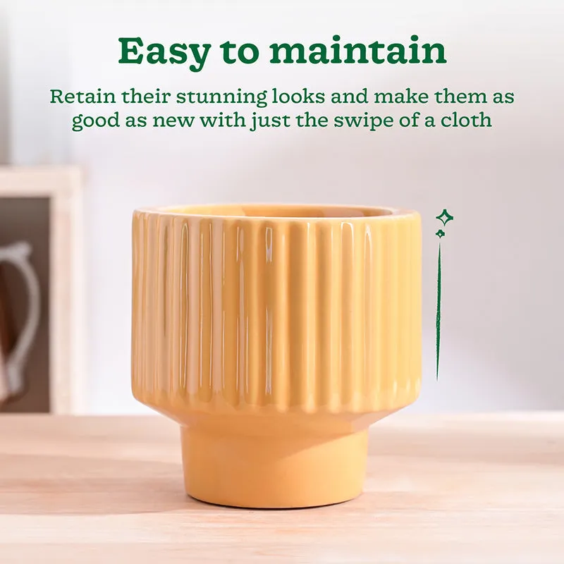 Ugaoo Classic Stria Ceramic Planter - Yellow media 4