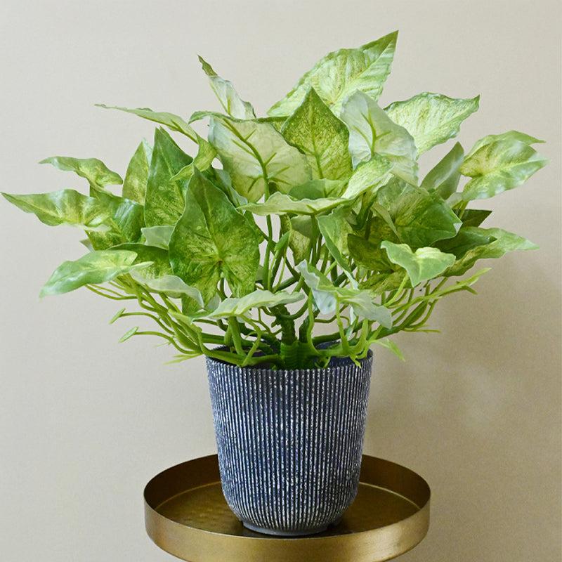 Caladix Artificial Caladium Plant With Black Plastic Pot - 40 cm media 4