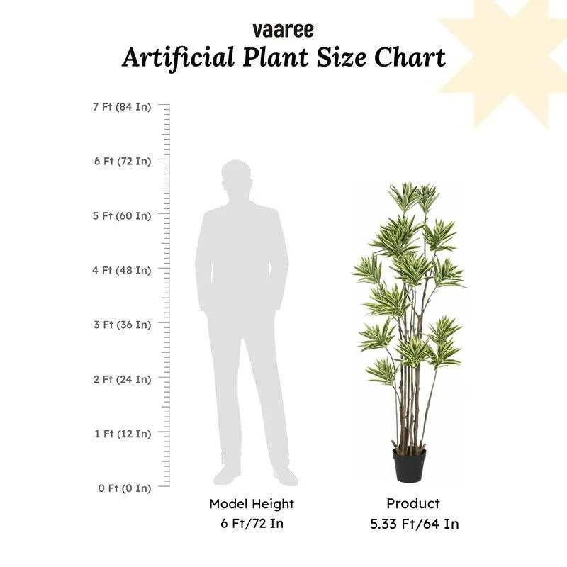 Faux Lush Dracaena Reflexa Plant With Black Plastic Pot - 5.2 Feet media 6