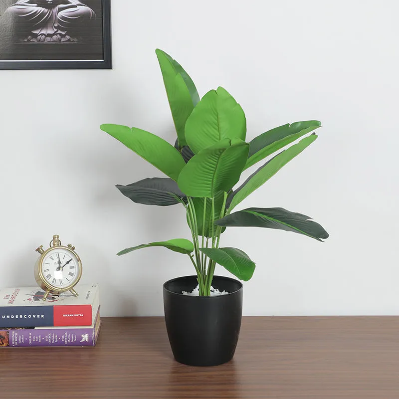 Wild Folia Artificial Banana Plant With Black Plastic Pot - 1.8 Feet media 2