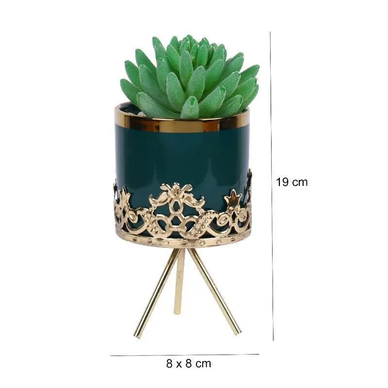 Faux Gasteria In Blue Ceramic Pot - 18 cms media 5