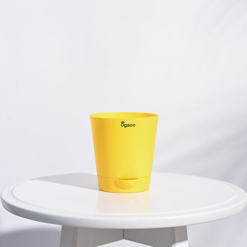 Ugaoo Bare Root Plastic Planter (Yellow) - Set Of Five media 3