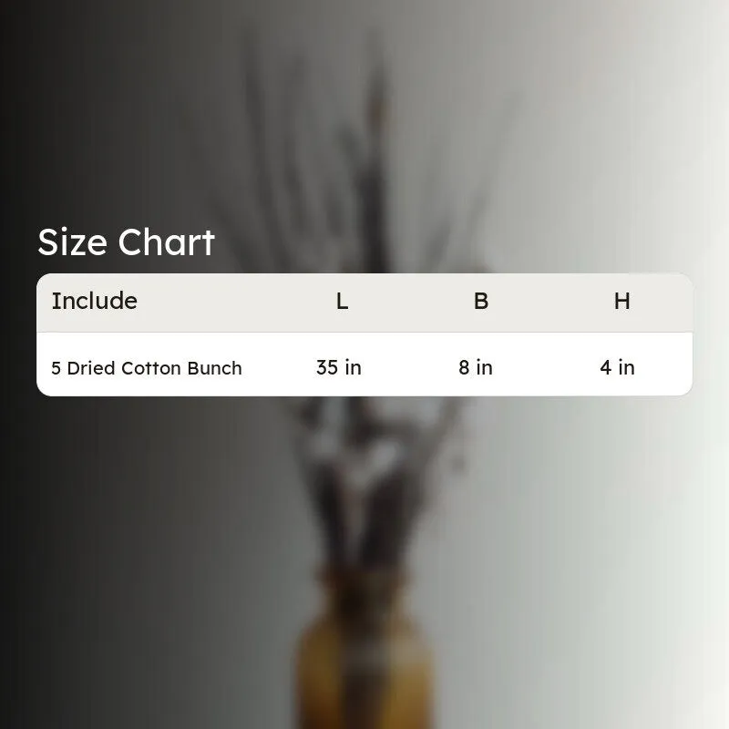Zenora Dried Cotton Bunch media 6