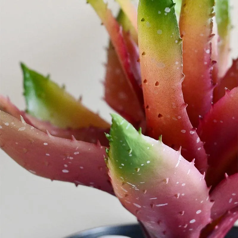 Alvera  Artificial Aloe Vera Plant With Black Plastic Pot (Pink) - 24 cm media 4