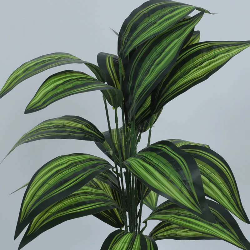Edena Artificial Variegated Dracaena With Black Plastic Pot - 2.3 Feet media 5