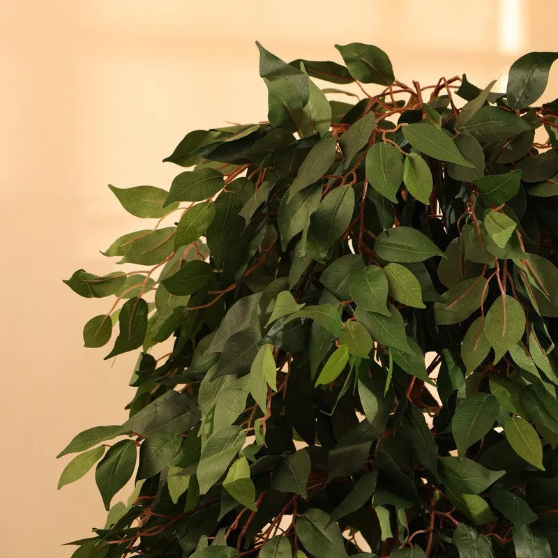 Artificial Green Ficus Plant With Black Plastic Pot - 7 ft media 7