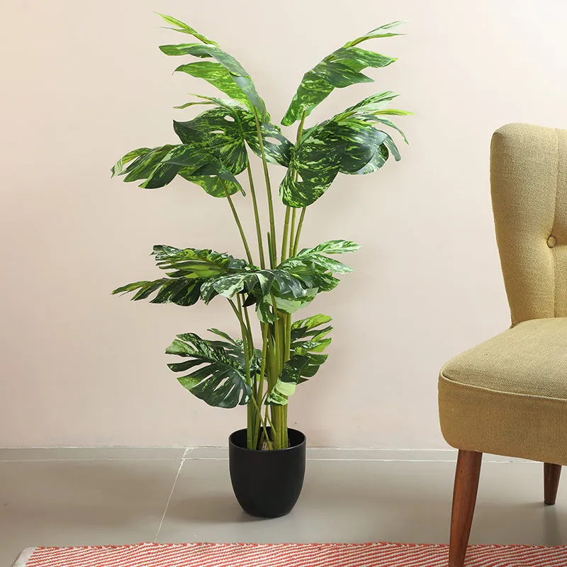 Maison Artificial Monstera With Black Plastic Pot - 4 Feet media 3