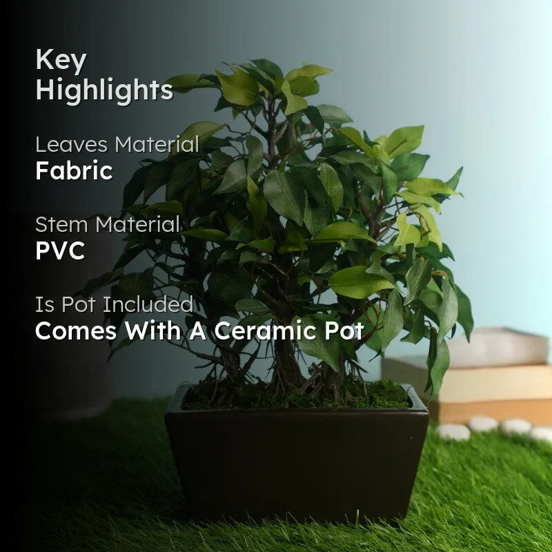 Green Ficus Artificial Bonsai Plant With Ceramic Pot - 1 Feet media 2