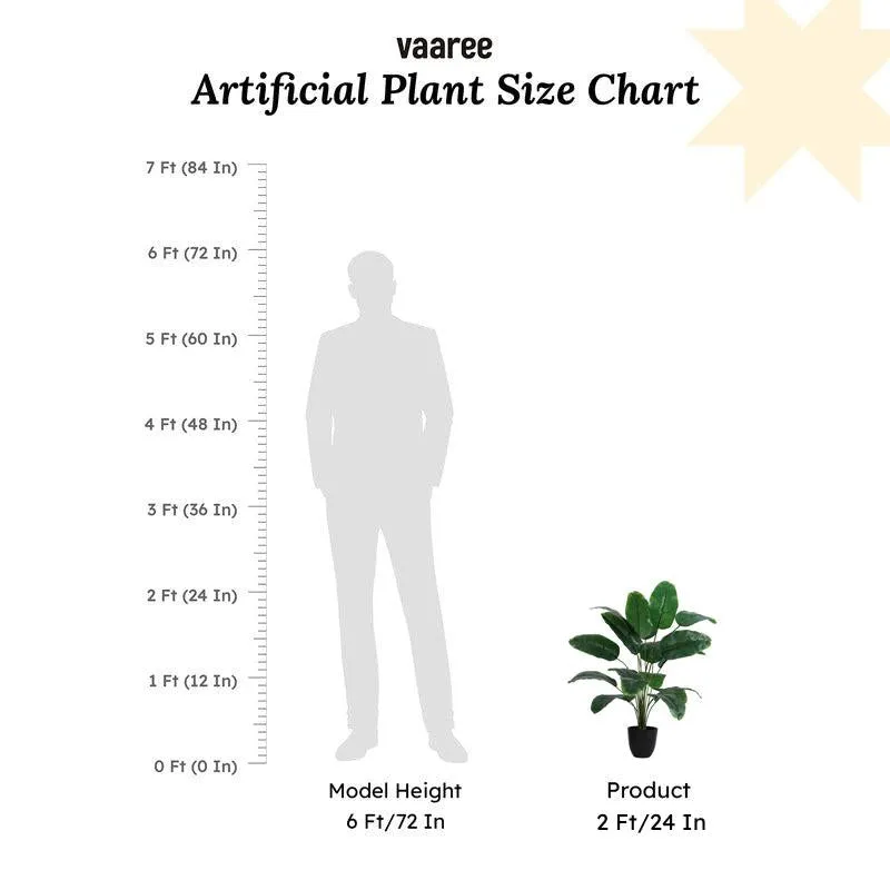 Artificial Banana Plant With Black Plastic Pot - 2 ft media 10