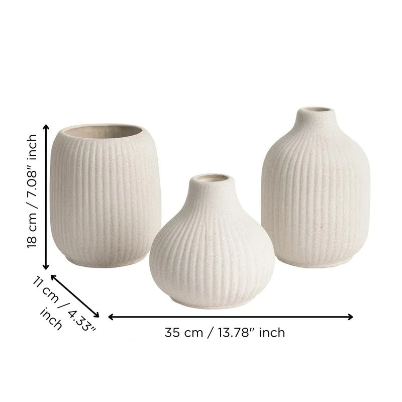 Artisan Ribbed Ceramic Vase - Set of Three media 7