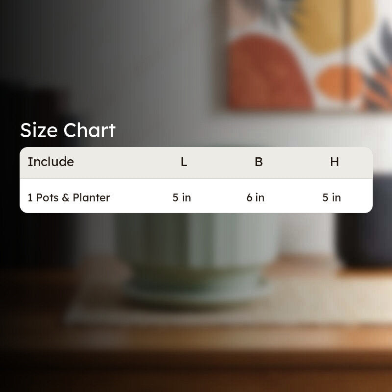 Lexie Ceramic Planter - Mint media 8