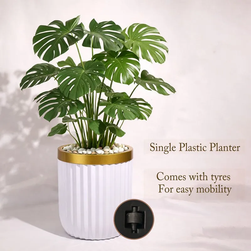 GlowRoot Planter media 5