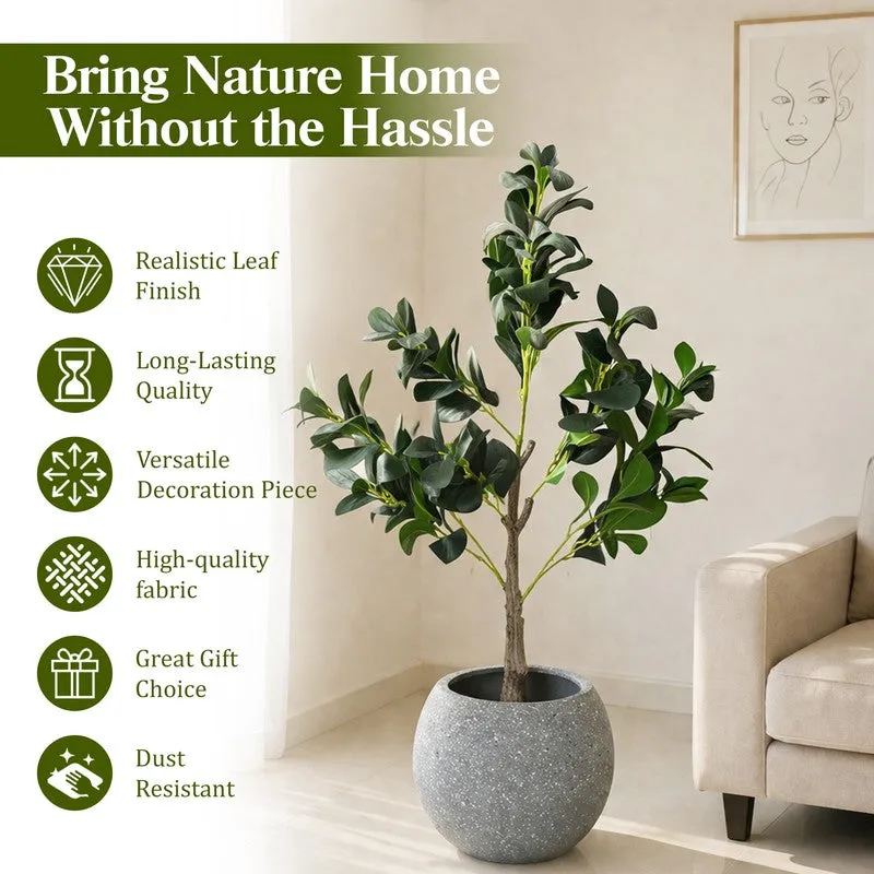 EverGreen Ficus Artificial Plant With Black Plastic Pot - 91 cm (3 ft) media 10