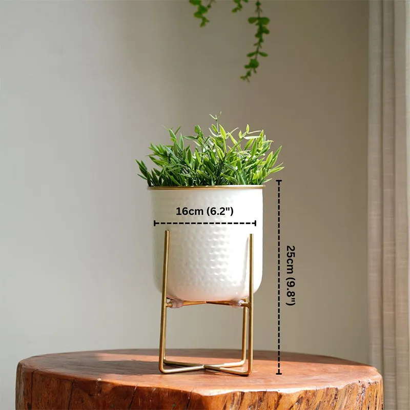Rhaella Iron Planter - Small media 6