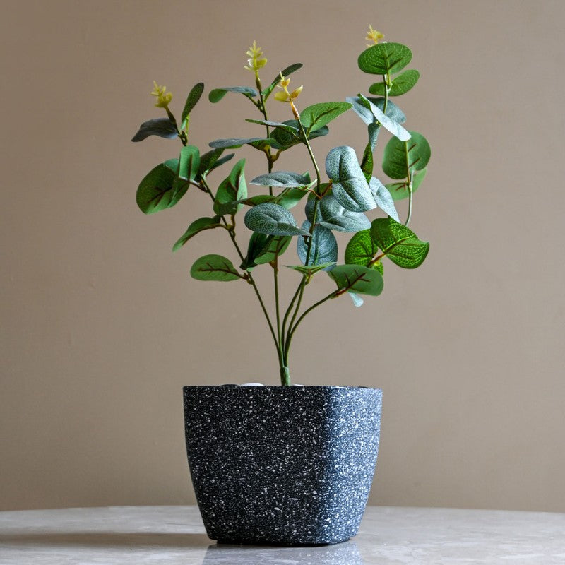 Monvia Garden Planter - Set Of Five media 7