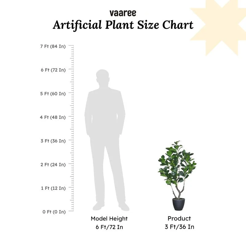 Artificial Peperomia Plant Without Pot - 3 Feet media 7