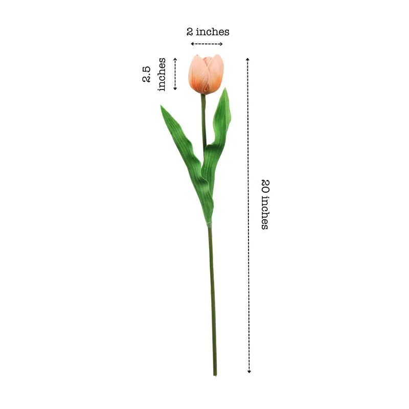 Artificial Realistic Tulip Flower Stick (Beige) - Set Of Five media 8