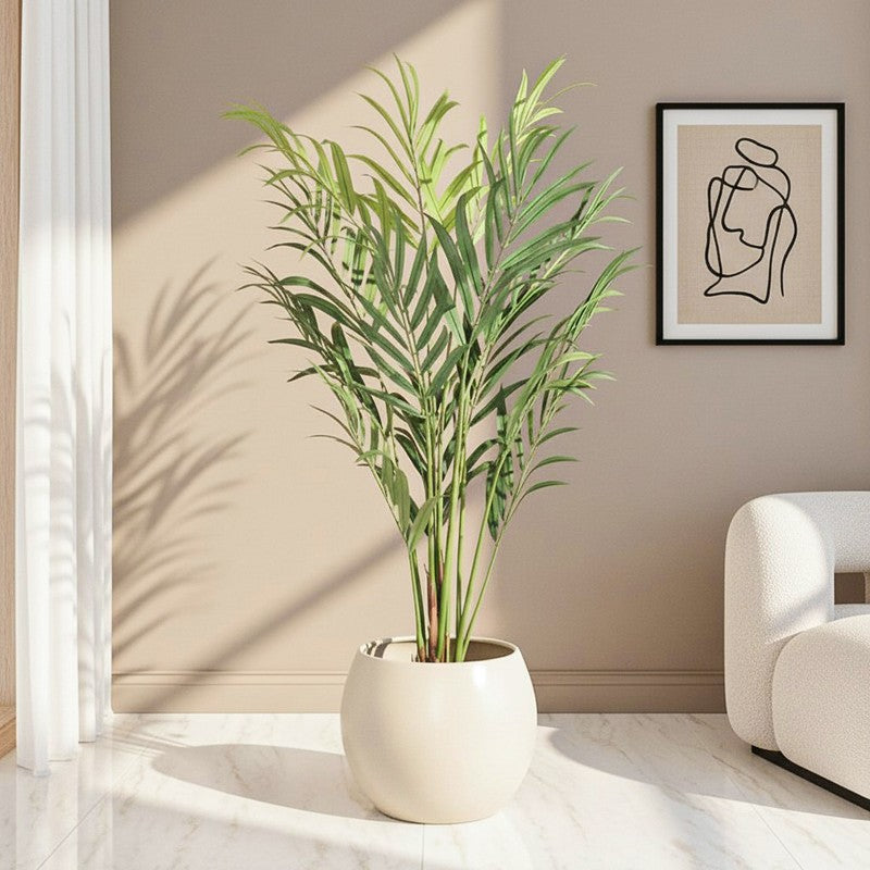 Elm Echo Artificial Plant With Black Plastic Pot - 6.4 Feet