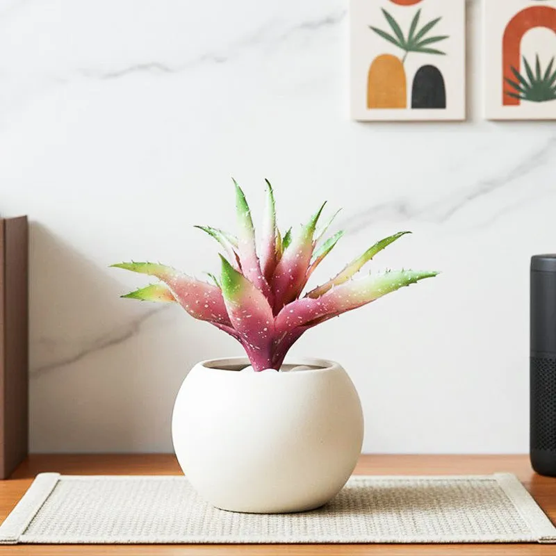 Alvera  Artificial Aloe Vera Plant With Black Plastic Pot (Pink) - 24 cm media 1