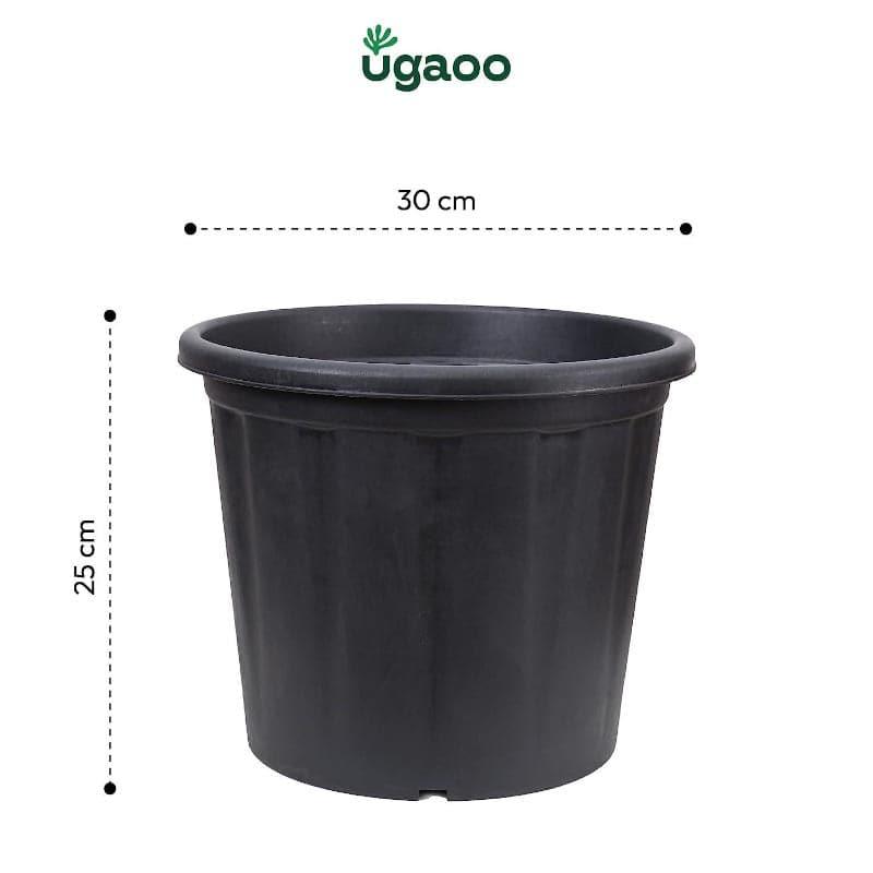 Ugaoo UV Treated Black Plastic Pot (30 CM) - Set Of Twelve media 5