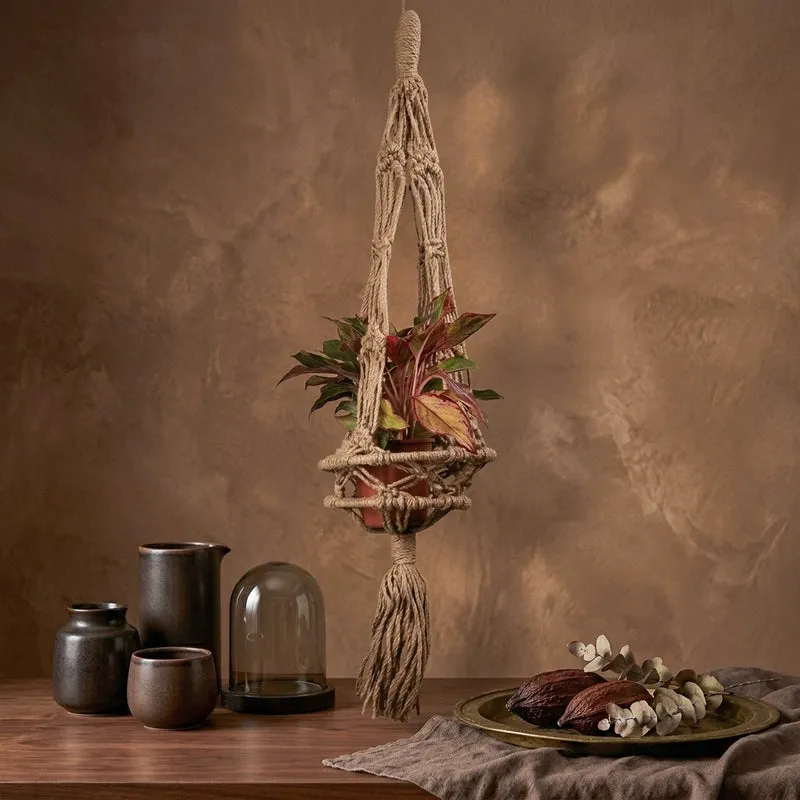 Norga Macrame Jute Planter media 4