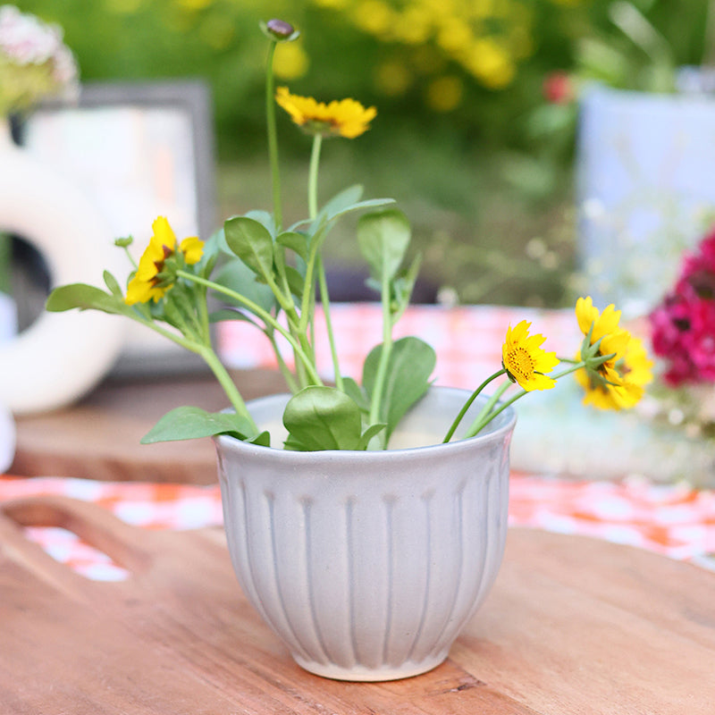 Tazio Ceramic Planter - Grey media 3