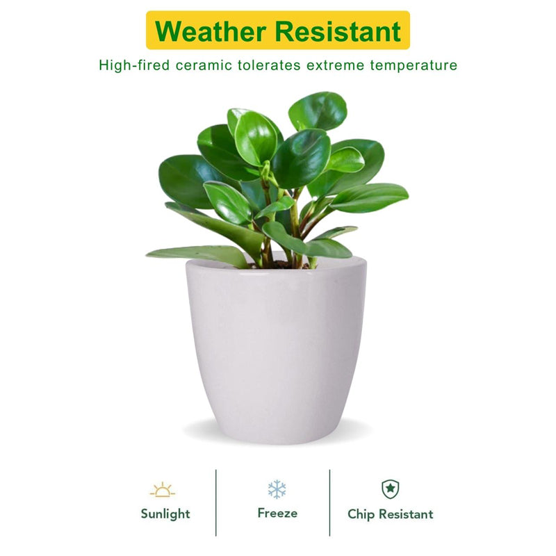 Alva White Planter media 5
