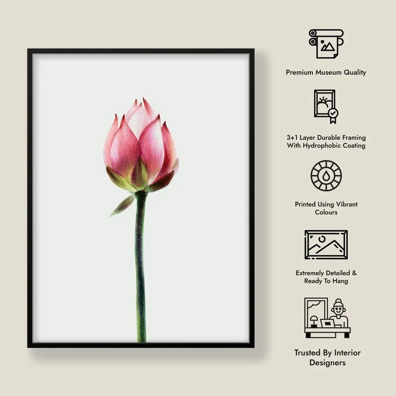 Painted Lotus Bud Archival Paper Wall Art With Frame media 9