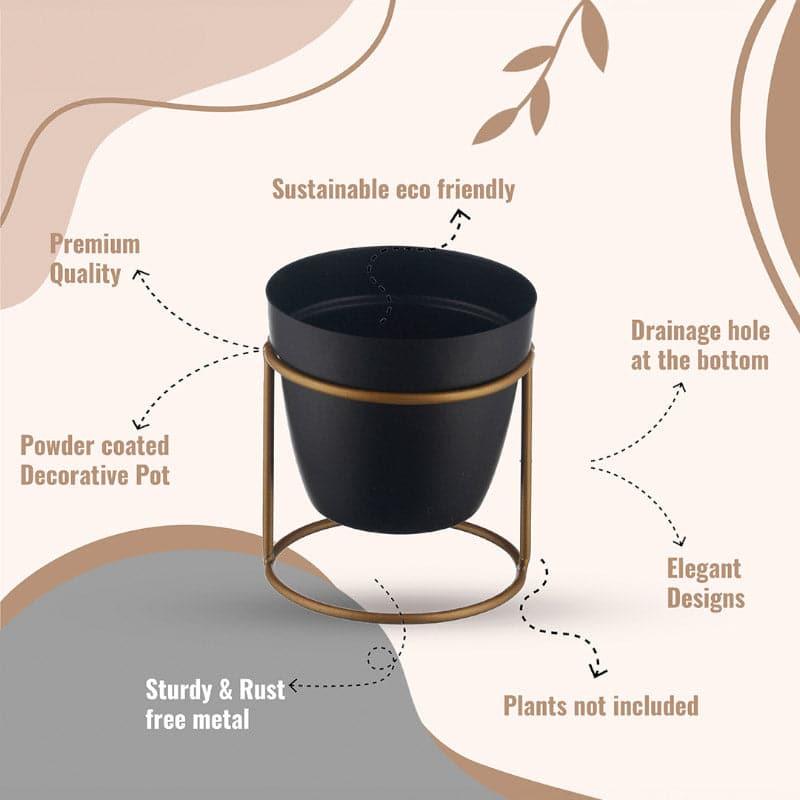 Parona Metal Planter - Set Of Two media 4
