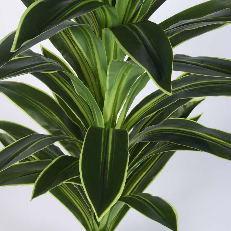 Faux Lush Dracaena Reflexa Plant With Black Plastic Pot -  4 Feet media 5