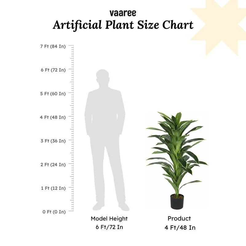 Faux Lush Dracaena Reflexa Plant With Black Plastic Pot - 4 Feet media 7