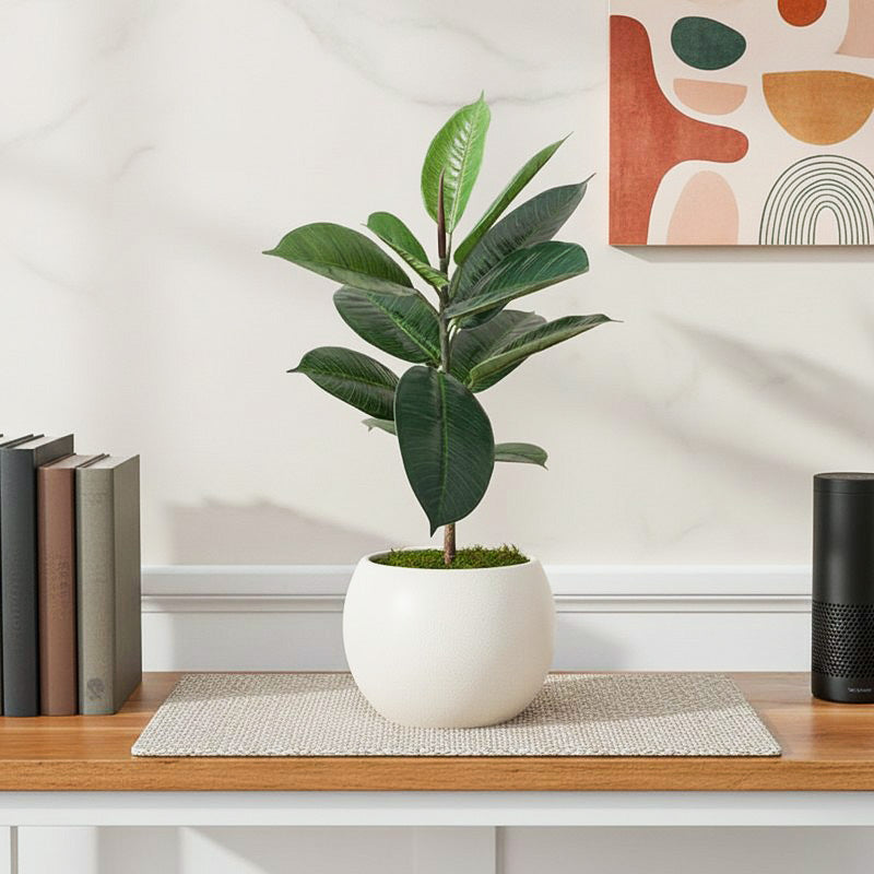 Foliage Finesse Artificial Plant With Black Plastic Pot
