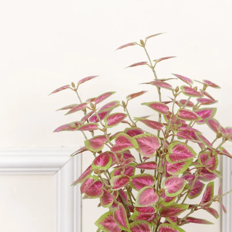 Artificial Natural Looking Coleous Big Plant With Black Fiber Pot (Pink) - 1.4 Feet media 6